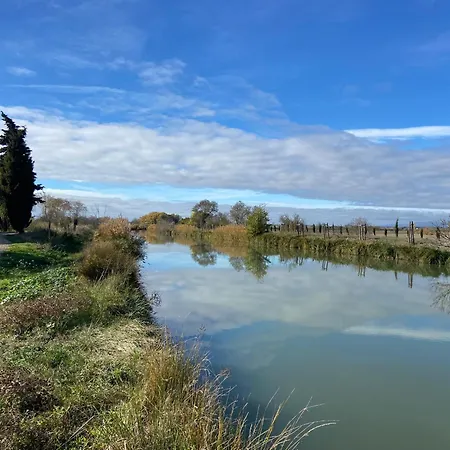 T4 Bord Canal Du Midi, Piscine דירה